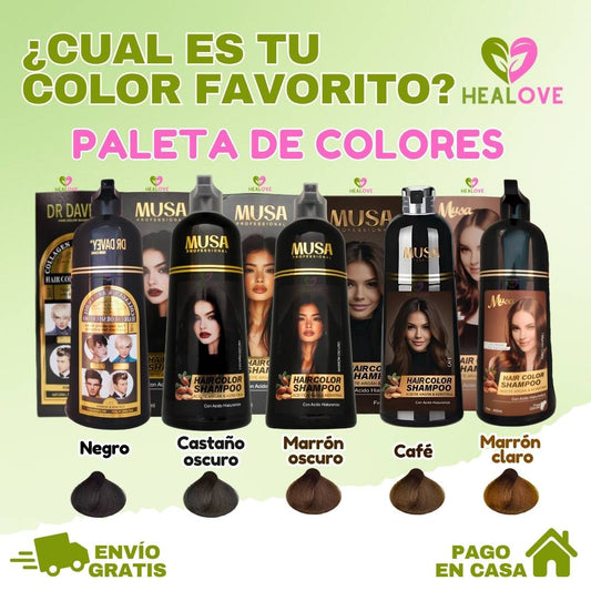SHAMPOO TINTE CUBRE CANAS 2 EN 1 DE 400 ML