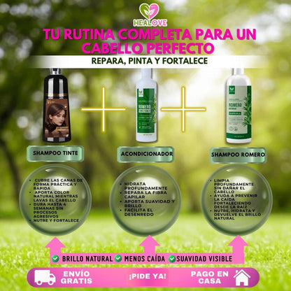 TRÍO CAPILAR COMPLETO (SHAMPOO TINTE + SHAMPOO ROMERO + ACONDICIONADOR DE ROMERO)