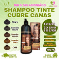 SHAMPOO TINTE CUBRE CANAS 2 EN 1 DE 400 ML