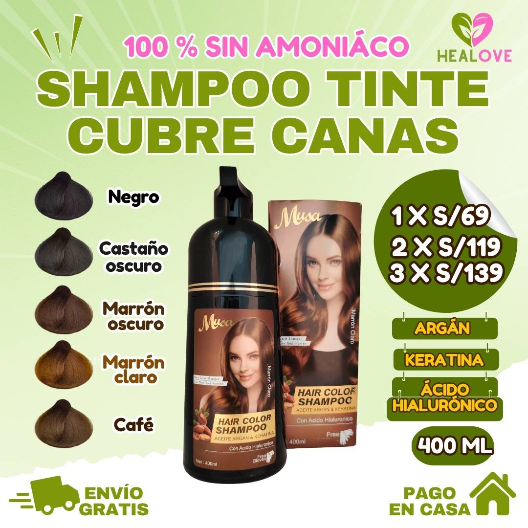 SHAMPOO TINTE CUBRE CANAS 2 EN 1 DE 400 ML