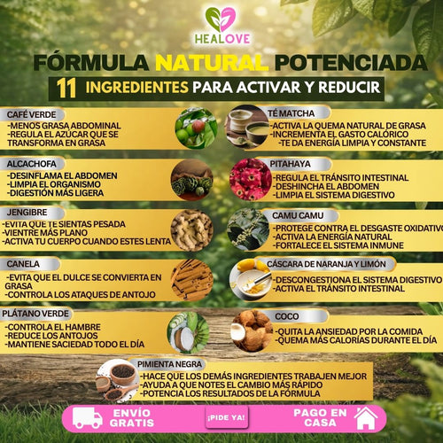 HEAL FIT (BATIDO NATURAL CON 11 SUPER INGREDIENTES PARA CONTROL DE ANTOJOS )