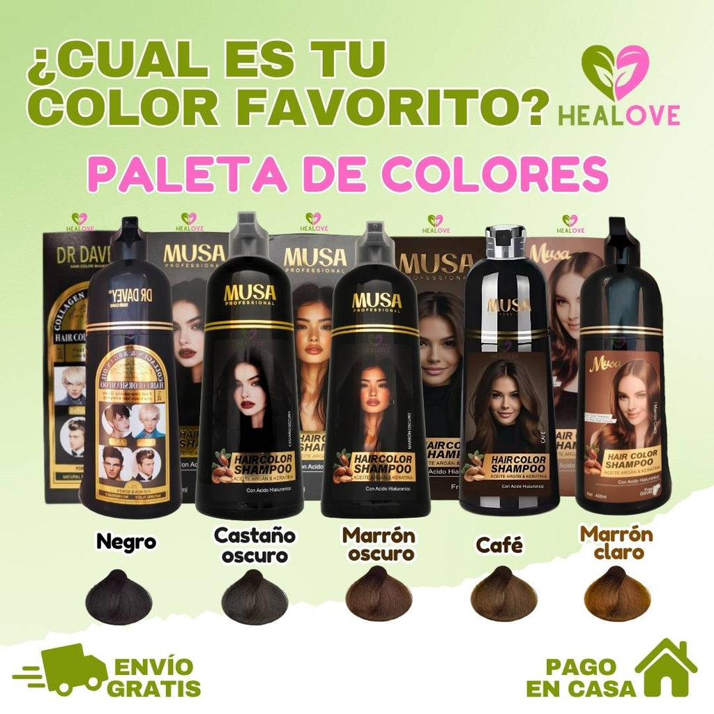 SHAMPOO TINTE CUBRE CANAS 2 EN 1 DE 400 ML