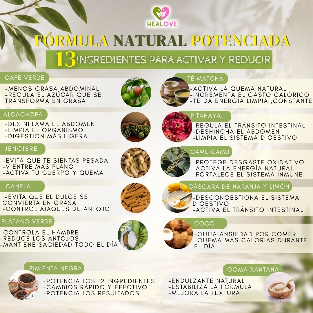 HEAL FIT (BATIDO NATURAL CON 13 SUPER INGREDIENTES PARA CONTROL DE ANTOJOS )